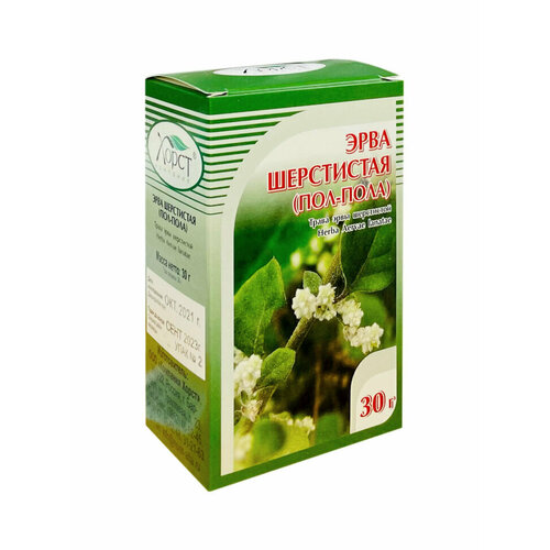 ������ ������ ���� ���������� (���-����) ����� (30 �) ����� ��� ����