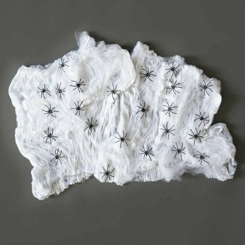 ������ ������ ������������ ������� �� ��������, ����� � 24-�� �������, 120 � ����