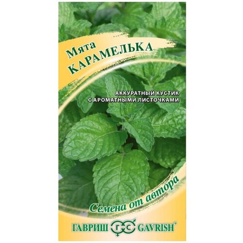 ������ ������ ���� ���������� ����