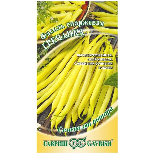 ������ ������ ������ �������� 5�. �����. (������) ����