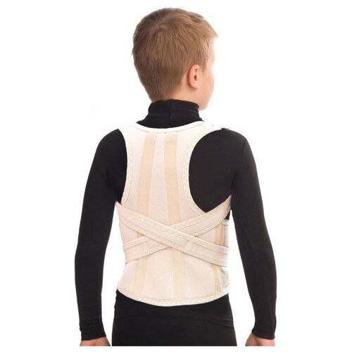 ������ ������ ��������� ������ ������ �-1773, ������ 2XS, ������ 35 ��, ������� ����