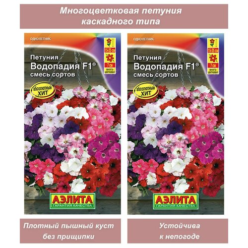 ������ ������ ����� �����, ������ ������ ��������� ������� ��������� ��������� ����