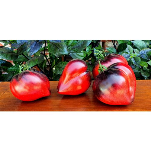 ������ ������ ������ ������ ������� ������� (Sgt. Peppers) / Seeds And Goods / � �������� zip-lock ��� ���������� 5 ����� ����