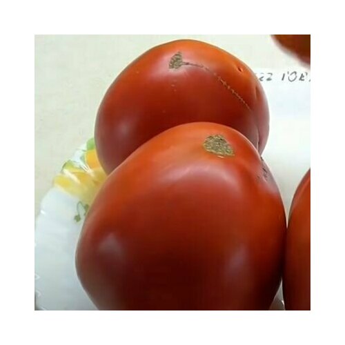 ������ ������ ������������� ������ ������ �������� � ����� ����