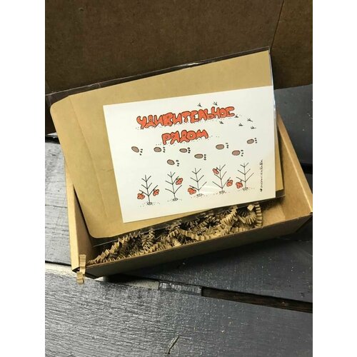 ������ ������ �������� 