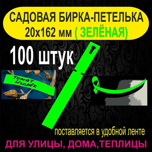 ������ ������ ������� �����-�������� 20x162 ��. 100 ���� (������) ����