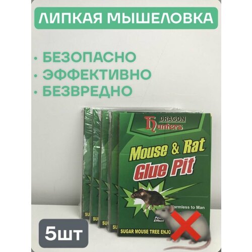 ������ ������ ������� ������� ��� ���� � ����� 15*21 ��, 5��. ����