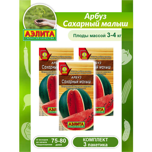 ������ ������ �������� ����� ����� �������� ����� � 3 ��. ����