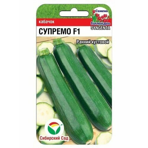 ������ ������ ������� 