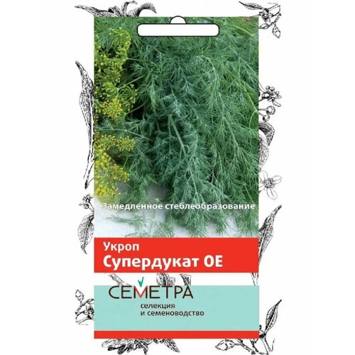 ������ ������ ����� 