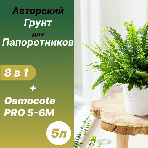 ������ ������ ����� ��� ������������ ����