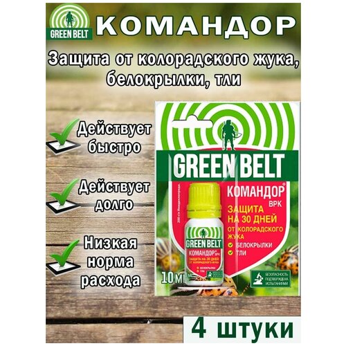 ������ ������ �������� ��� �������� 10 ��, �� ������������ ����, 4 ����� ����