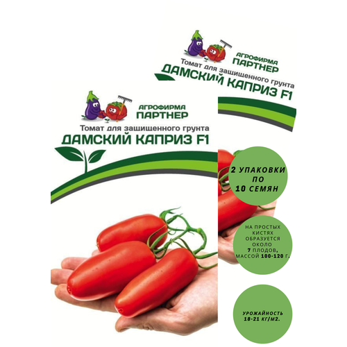 ������ ������ ������� ����� 