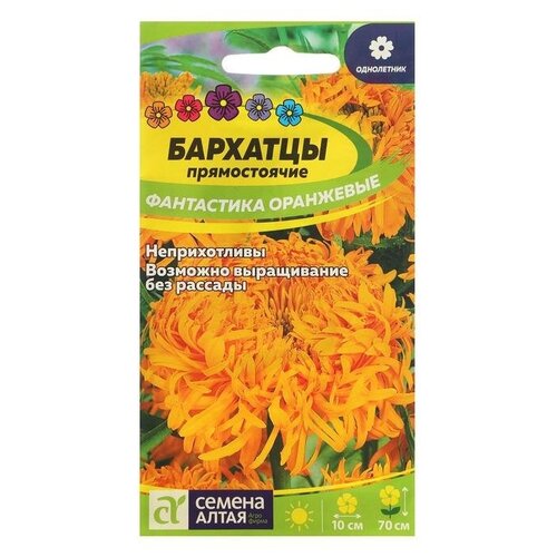 ������ ������ ������ ������ �������� 