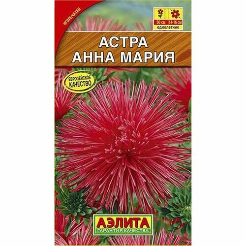 ������ ������ ������ ����� ���� �����, ����������, (������) 0,2� ����