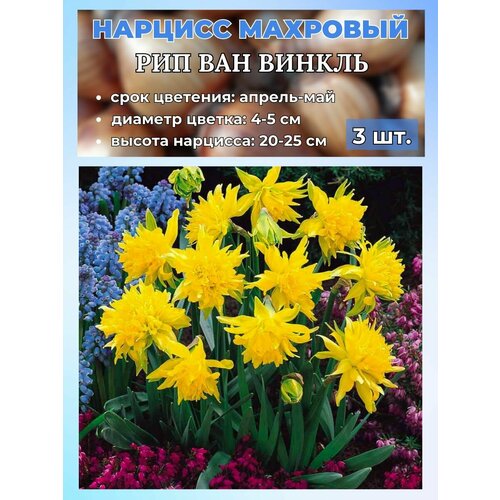 ������ ������ ������� ��������. �������� 3 ����� ����