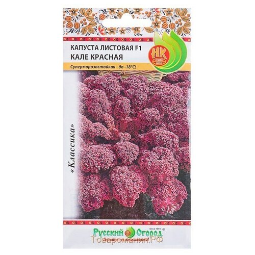 ������ ������ ������� �������� F1 ���� (����) ������� (50 ���) ����