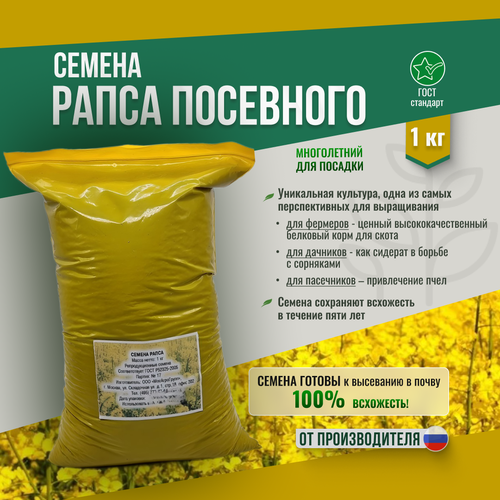 ������ ������ ������ ����� - 1 �� ������������ ����