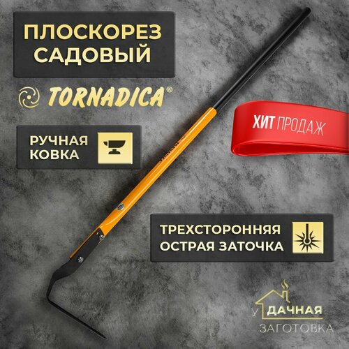 ������ ������ ��������� ������� ������ ����