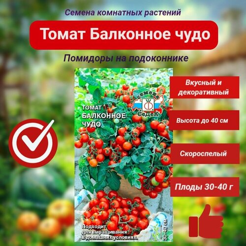 ������ ������ ����� ��������� ����. ������ 0,1 �. ����� ����