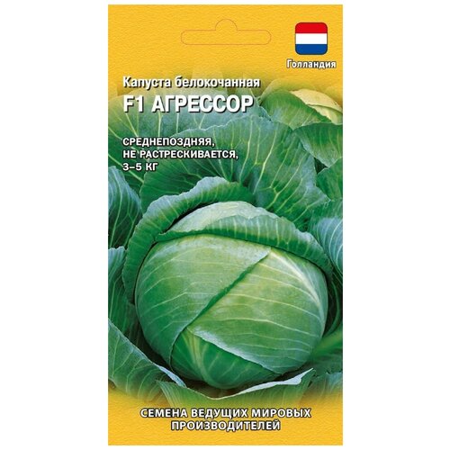 ������ ������ ������� ������������ �������� F1 ����