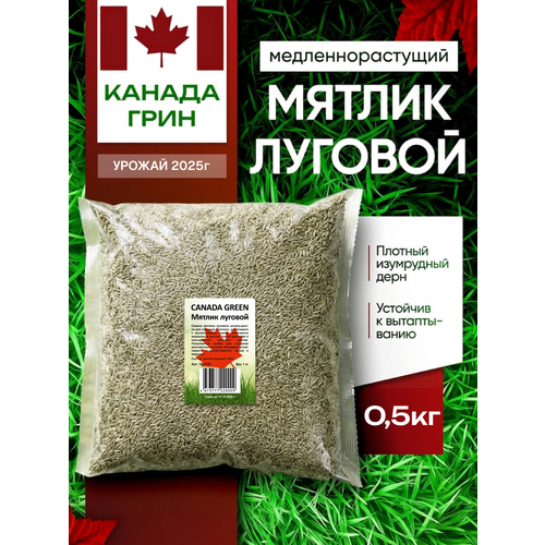 ������ ������ ������ ������� ������ 100% Canada Green, 0,5 �� ����