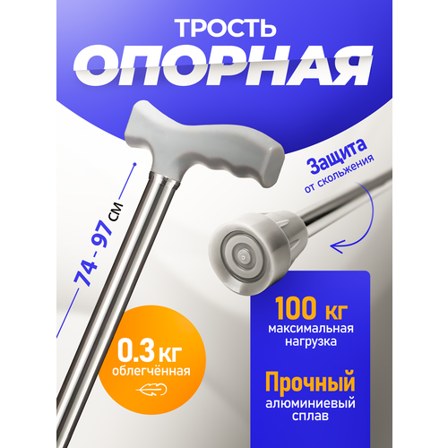 ������ ������ ������ ������� ����