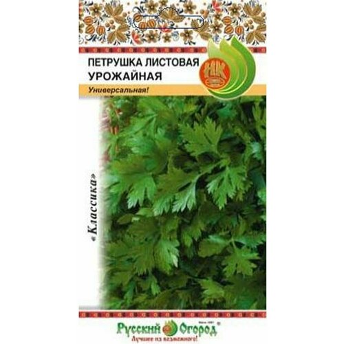 ������ ������ ������. �������� �������� 