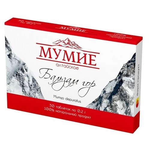 ������ ������ ����� ��������� 