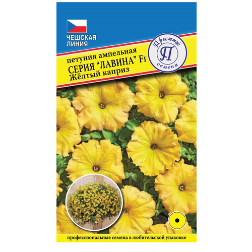 ������ ������ ������/������� ������/ ������ ������ ������� ��������� ������ ������ ������ F1 ����