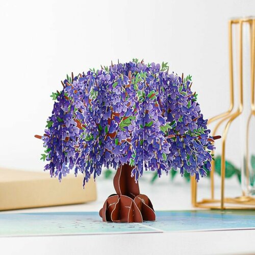 ������ ������ �������� �������� 3D 