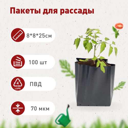 ������ ������ ����� ��� ������� 1,3�, 100 ��. ����