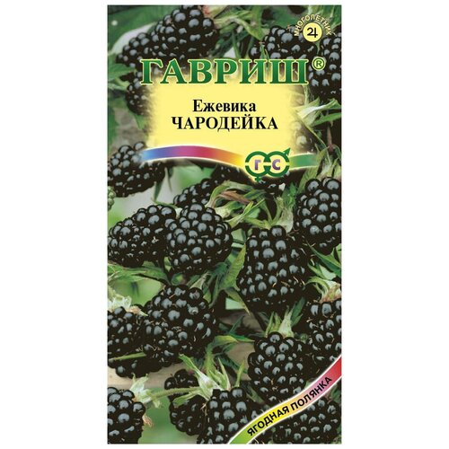 ������ ������ ������ ������ ������� ���������, 10 ��. ����