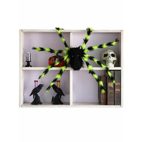 ������ ������ ���������� �������� ���� 75 �� �������� ������� ����