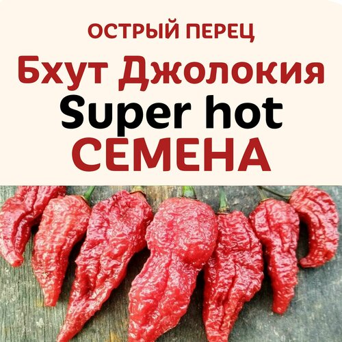 ������ ������ ������ ����� ������ ���� �������� Super hot ����