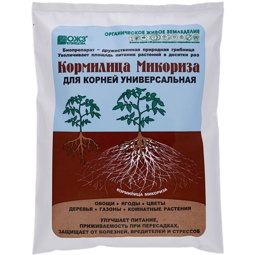 ������ ������ ��������� ��������� �������� 1 � (�/�) ����