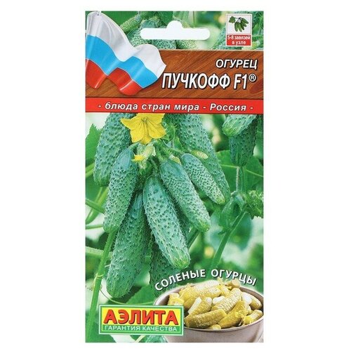 ������ ������ ������ ������ 