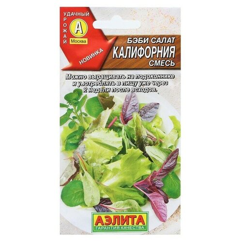 ������ ������ ������. ���� ����� 