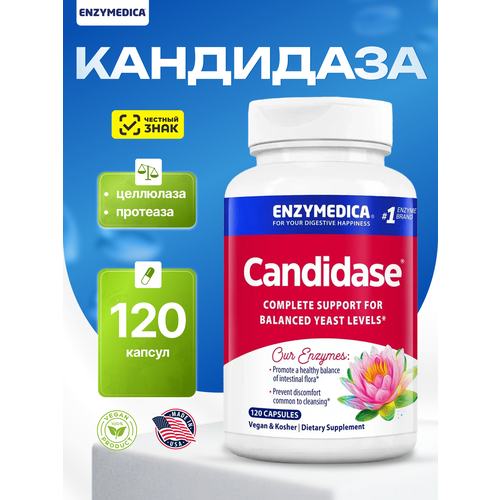 ������ ������ �������� Enzymedica 
