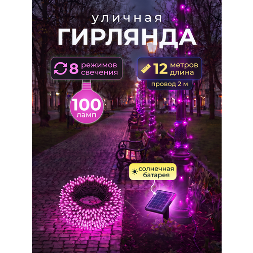������ ������ ������������ �������� ������� �� ��������� ������� 100 ���� 12 ������ 8 ������� ����
