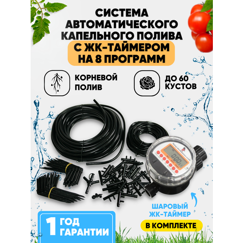 ������ ������ ��������� ����� � �������� ����������� �� 8 �������� ��� ������� �������, ������� ���������� �� 60 �������� �� �����, ����������� ����
