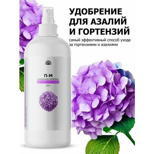 ������ ������ ��������� ��� ���������, ������������� � ������ ������ (Purshat) ����� 500 �� ����