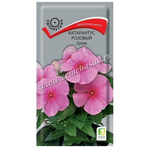 ������ ������ ������ ���������� ������� ������ ���������� 0,1 ��. ����