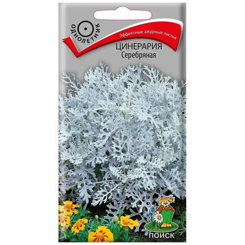 ������ ������ ������ ��������� ���������� 0,2��. ����