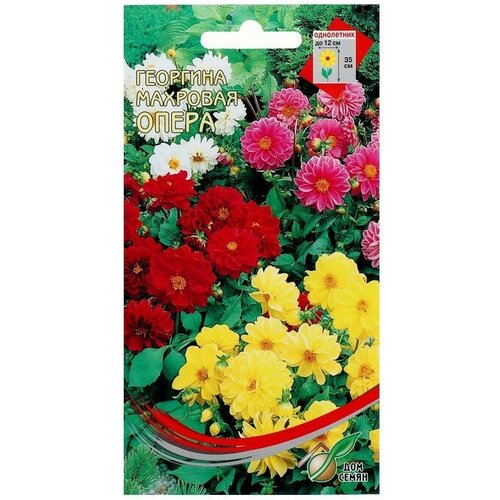 ������ ������ ������ ������ �������� �������� 