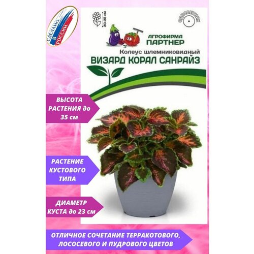 ������ ������ ������ ������� ��������������� 