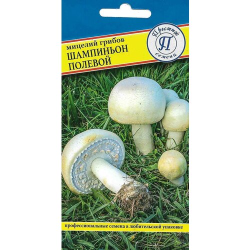 ������ ������ ��������� ������� (������� ������). ���� �� ������ �� �������� ���������, ������������ ���� ����