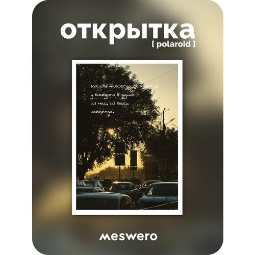 ������ ������ �������� meswero signature / polaroid / ������ ����