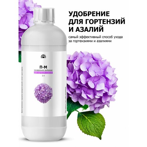 ������ ������ ��������� ��� ���������, ������������� � ������ ������ (Purshat) 1 � ����