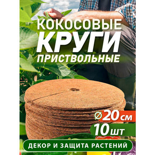 ������ ������ ������������ ���� �� ���������� �������, ������� 20 ��, 10 ���� ����